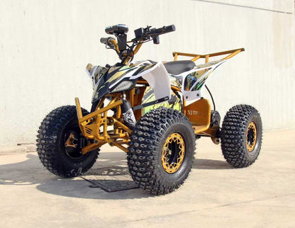 NITROUS Electric ATV 48V/20Ah range50km max-speed 38km/h off-road E Quads Sport Ride on Quads Racing Quadriciclo Quod Motorcycle