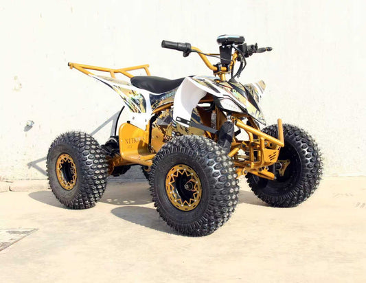 NITROUS Electric ATV 48V/20Ah range50km max-speed 38km/h off-road E Quads Sport Ride on Quads Racing Quadriciclo Quod Motorcycle