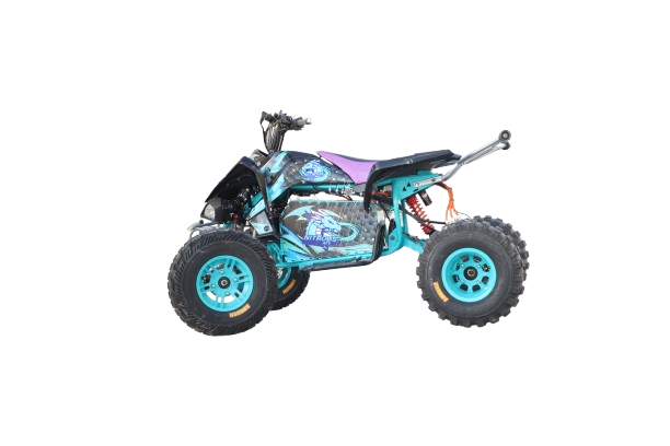 NITROUS Electric ATV 10kw 72V/150Ah range150km  max-speed 120km/h off-road E Quads Sport Ride on Quads Racing   Quadriciclo Quod Motorcycle